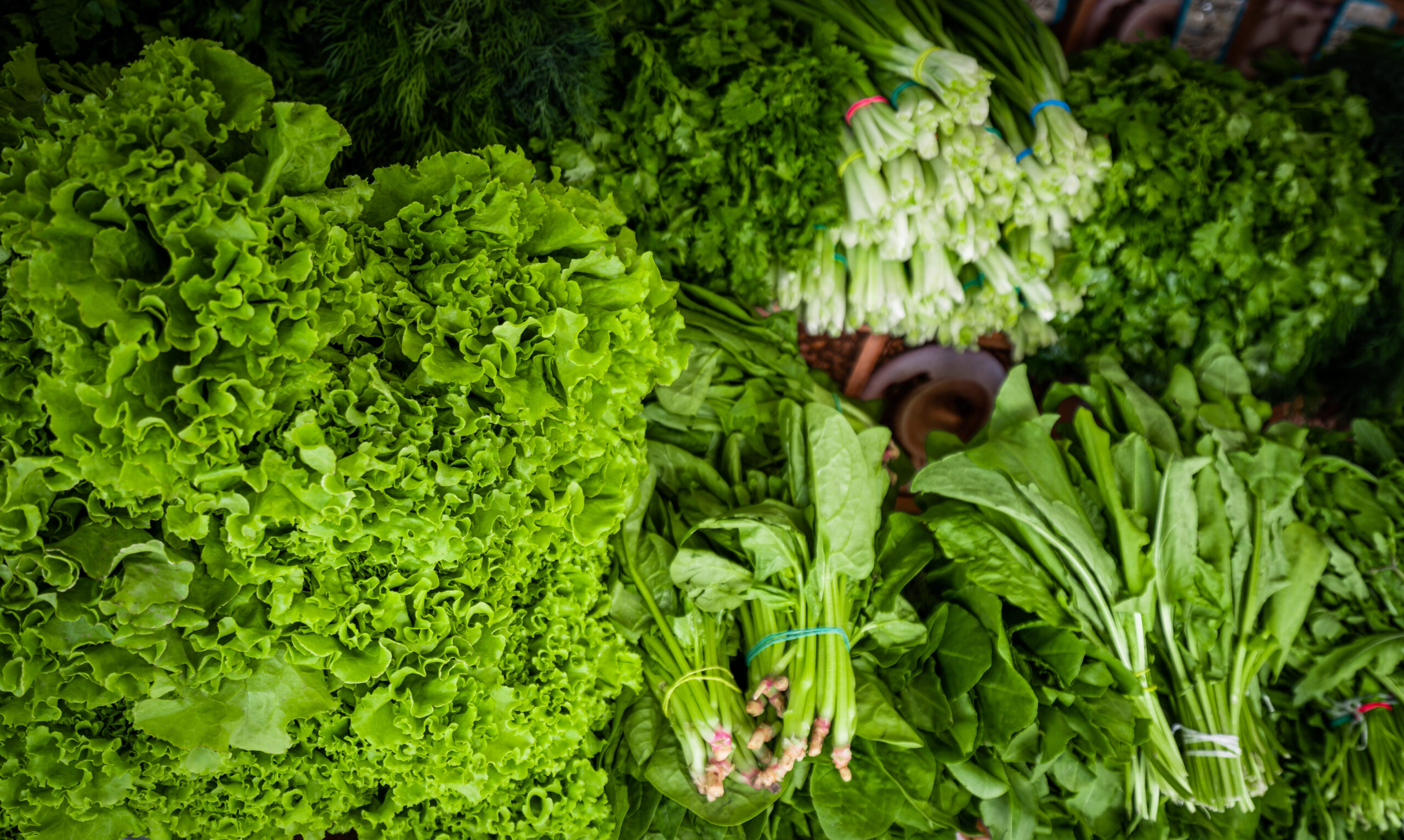 fala leafy vegetables cloud farm (6)